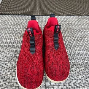 Lebron James Nike sneakers